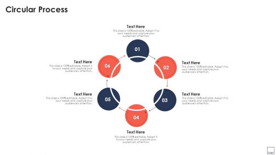 Virtual Video Hosting Platform Capital Raising Circular Process Mockup PDF