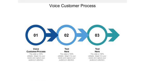 Voice Customer Process Ppt PowerPoint Presentation Icon Graphics Tutorials Cpb