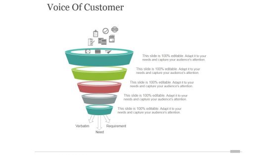 Voice Of Customer Tamplate 2 Ppt PowerPoint Presentation Layouts