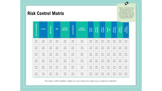 Vulnerability Assessment Methodology Risk Control Matrix Ppt Portfolio Infographics PDF