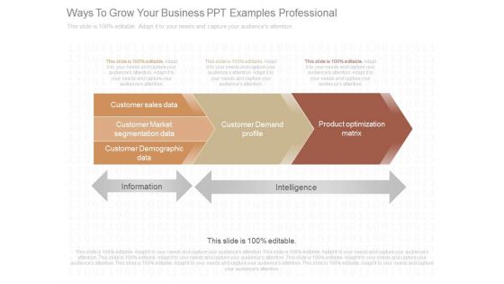 Ways To Grow Your Business Ppt Examples Professional Ways To Grow Your Business Ppt Examples Professional
