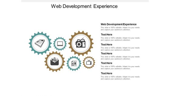 Web Development Experience Ppt PowerPoint Presentation Outline Portfolio Cpb