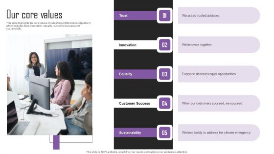 Web Hosting Software Company Outline Our Core Values Elements PDF