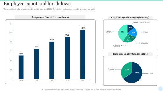 Web Interface Development Services Company Summary Employee Count And Breakdown Icons PDF