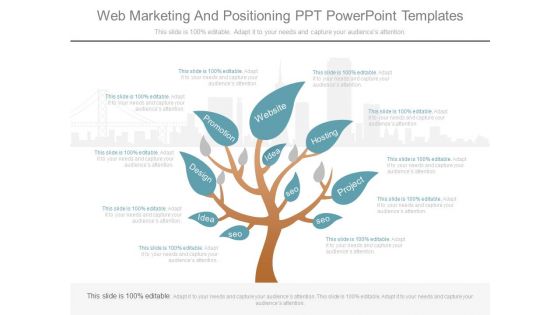 Web Marketing And Positioning Ppt Powerpoint Templates