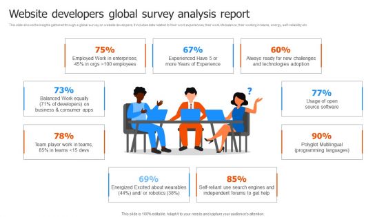 Website Developers Global Survey Analysis Report Designs PDF