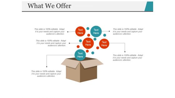 What We Offer Template 1 Ppt PowerPoint Presentation Outline Ideas