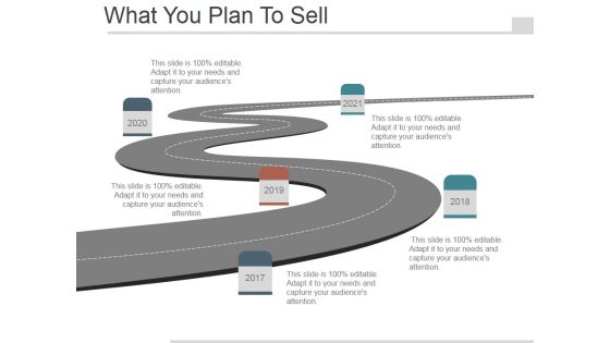 What You Plan To Sell Ppt PowerPoint Presentation Example