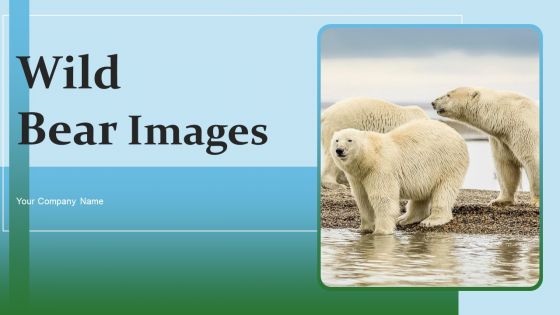 Wild Bear Images Ppt PowerPoint Presentation Complete Deck With Slides