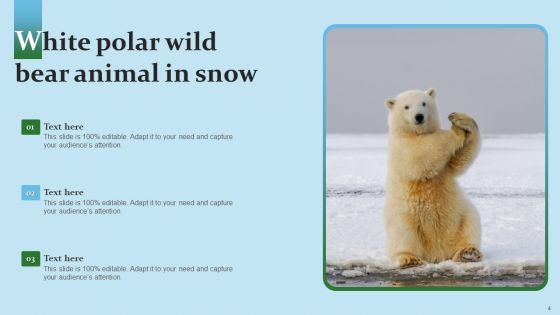 Wild Bear Images Ppt PowerPoint Presentation Complete Deck With Slides