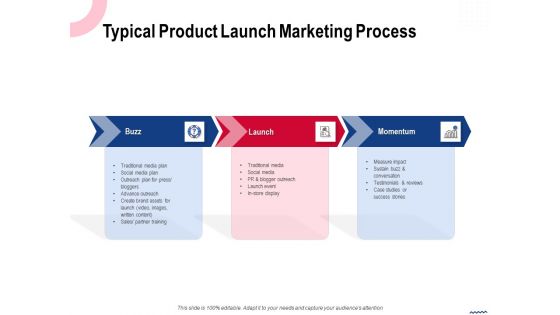 Wireless Phone Information Management Plan Typical Product Launch Marketing Process Professional PDF