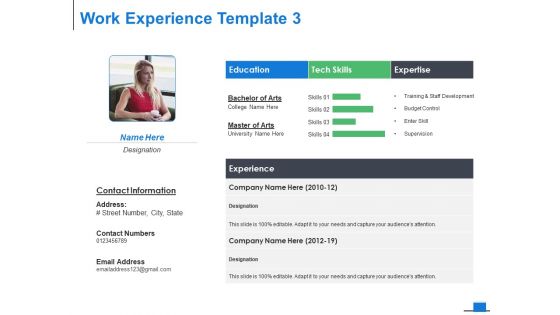Work Experience Template Business Ppt PowerPoint Presentation Portfolio Design Templates