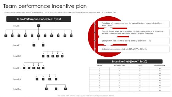 YASHBIZ Marketing Business Profile Team Performance Incentive Plan Rules PDF