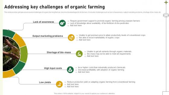 Addressing Key Challenges Of Organic Farming Adopting Sustainable Farming Techniques
