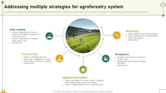Addressing Multiple Strategies For Agroforestry System Adopting Sustainable Farming Techniques