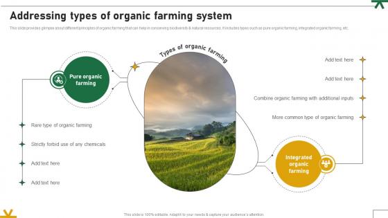Addressing Types Of Organic Farming System Adopting Sustainable Farming Techniques