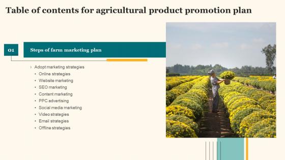 Agricultural Product Promotion Plan Table Of Contents Slides Pdf Agricultural Product Promotion Plan Table Of Contents Slides Pdf