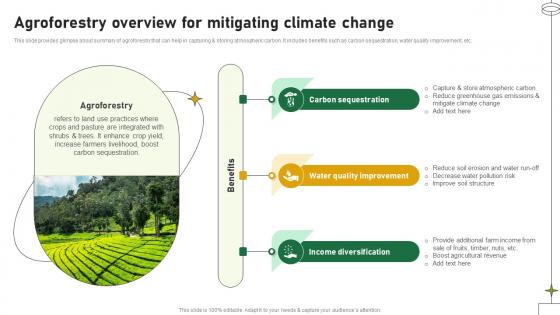 Agroforestry Overview For Mitigating Climate Change Adopting Sustainable Farming Techniques