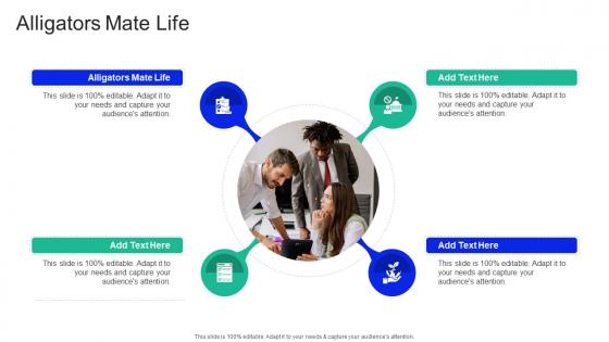 Alligators Mate Life In Powerpoint And Google Slides Cpb