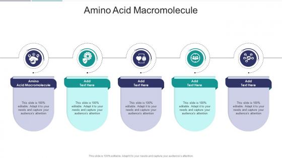 Amino Acid Macromolecule In Powerpoint And Google Slides Cpb