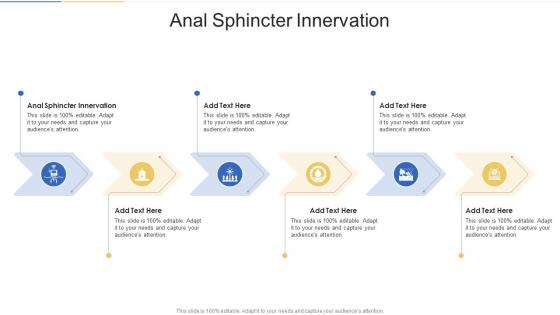 Anal Sphincter Innervation In Powerpoint And Google Slides Cpb
