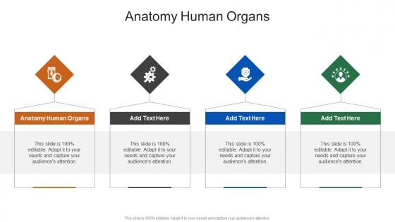 Anatomy Human Organs In Powerpoint And Google Slides Cpb