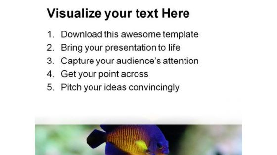 Angel Fish Animals PowerPoint Templates And PowerPoint Backgrounds 0111