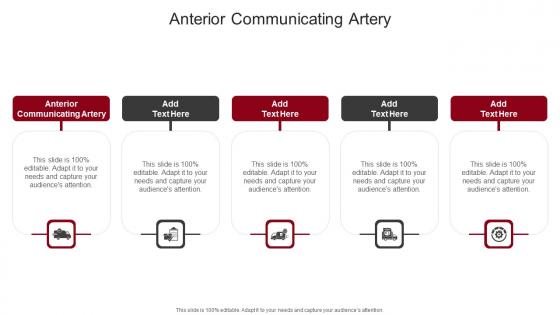 Anterior Communicating Artery In Powerpoint And Google Slides Cpb