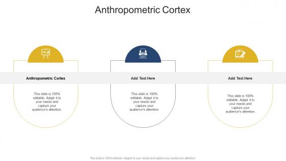 Anthropometric Cortex In Powerpoint And Google Slides Cpb