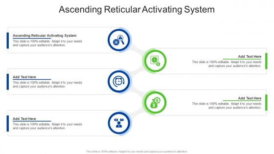 Ascending Reticular Activating System In Powerpoint And Google Slides Cpb