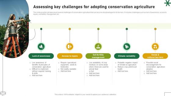 Assessing Key Challenges For Adopting Conservation Agriculture Adopting Sustainable Farming Techniques