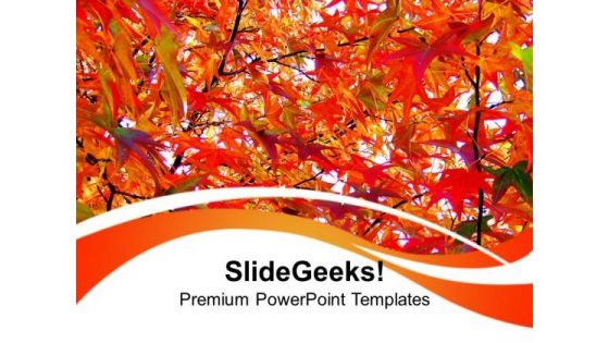 Autumn Leaves Nature PowerPoint Templates Ppt Backgrounds For Slides 0213