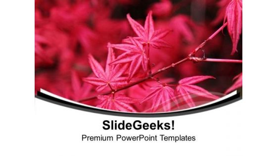 Autumn Theme With Pink Flowers PowerPoint Templates Ppt Backgrounds For Slides 0513