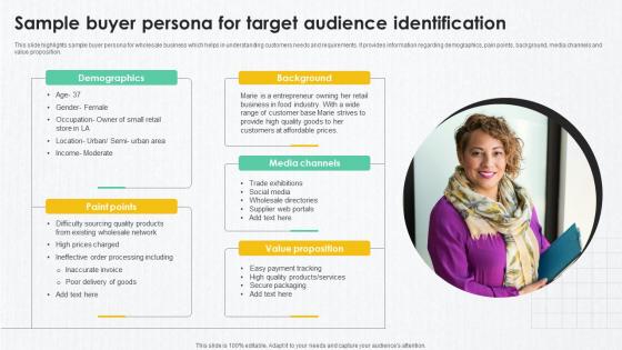 B2B Marketing Techniques Sample Buyer Persona For Target Audience Identification