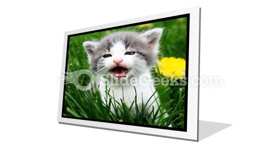 Baby Cat PowerPoint Icon F