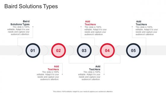 Baird Solutions Types In Powerpoint And Google Slides Cpb
