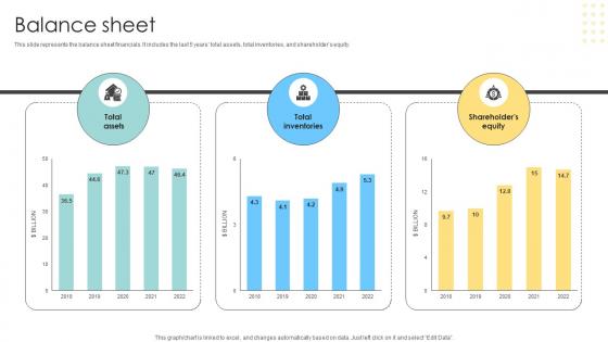 Balance Sheet Multinational Conglomerate Company Profile CP SS V Balance Sheet Multinational Conglomerate Company Profile CP SS V