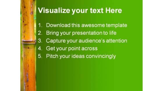 Bamboo Nature PowerPoint Templates And PowerPoint Backgrounds 0111