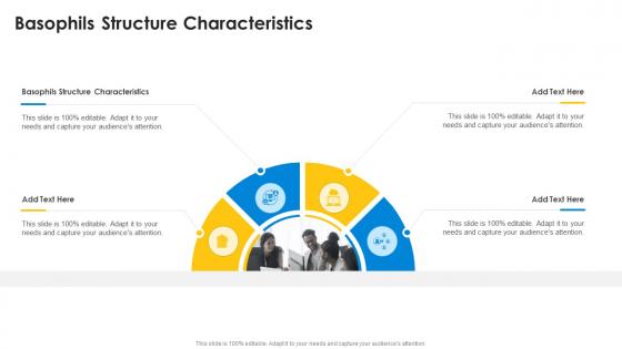 Basophils Structure Characteristics In Powerpoint And Google Slides Cpb Basophils Structure Characteristics In Powerpoint And Google Slides Cpb