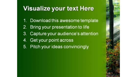 Beams Of Light Through Trees Nature PowerPoint Templates And PowerPoint Backgrounds 0211