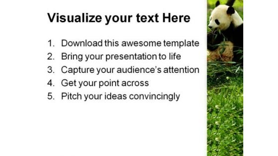 Bear Animals PowerPoint Templates And PowerPoint Backgrounds 0211