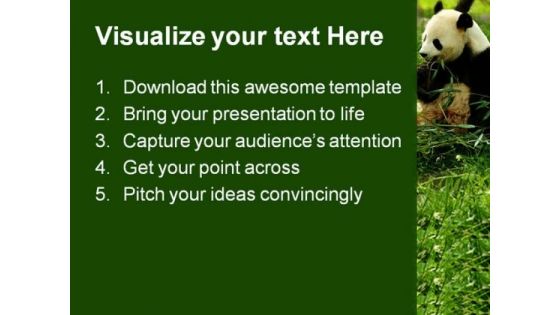 Bear Animals PowerPoint Templates And PowerPoint Backgrounds 0211