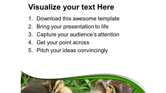 Beautiful Background With Ducklings PowerPoint Templates Ppt Backgrounds For Slides 0613