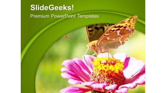 Beautiful Butterfly With Flower PowerPoint Templates Ppt Backgrounds For Slides 0713