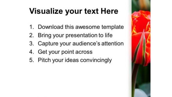 Beautiful Flowers Nature PowerPoint Templates And PowerPoint Themes 0512
