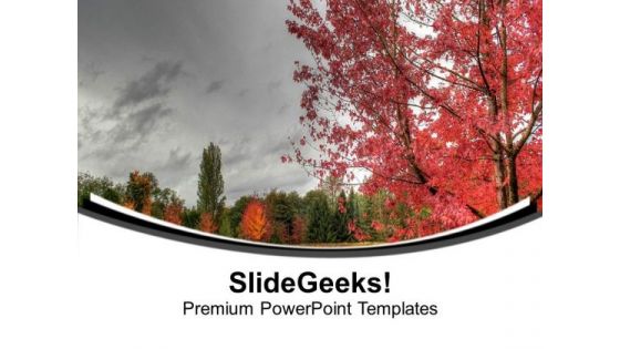 Beauty Of Nature With Autumn Background PowerPoint Templates Ppt Backgrounds For Slides 0613