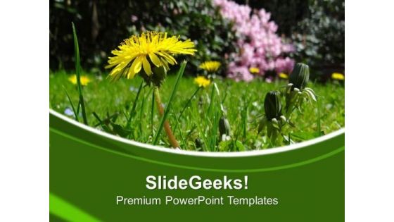 Beauty Of Nature With Flowers PowerPoint Templates Ppt Backgrounds For Slides 0513