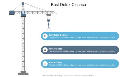 Best Detox Cleanse In Powerpoint And Google Slides Cpb