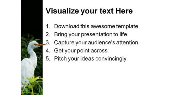 Bird In Tree Animals PowerPoint Themes And PowerPoint Slides 0211