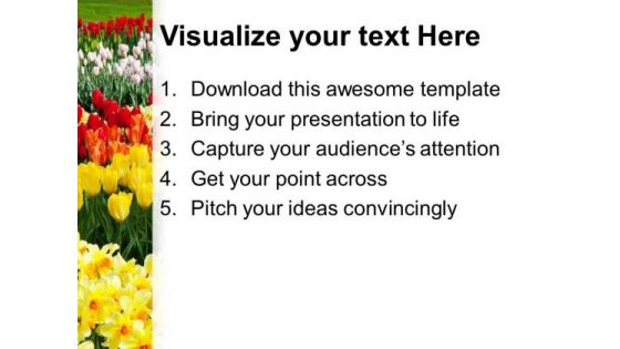 Blooming Spring Flowers Nature PowerPoint Templates Ppt Backgrounds For Slides 0213